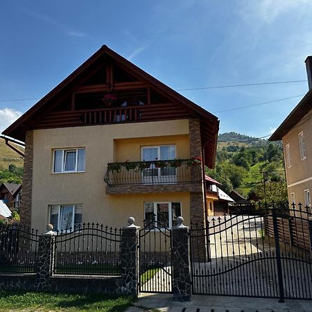 Pensiunea Dorina Botiza Exteriér fotografie