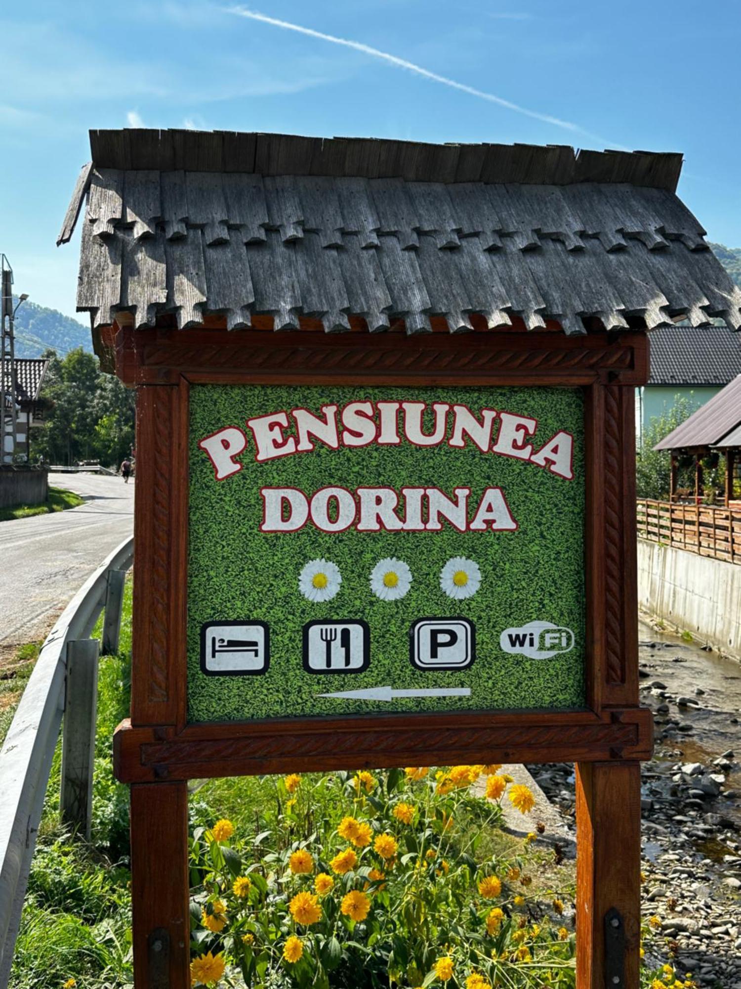 Pensiunea Dorina Botiza Exteriér fotografie