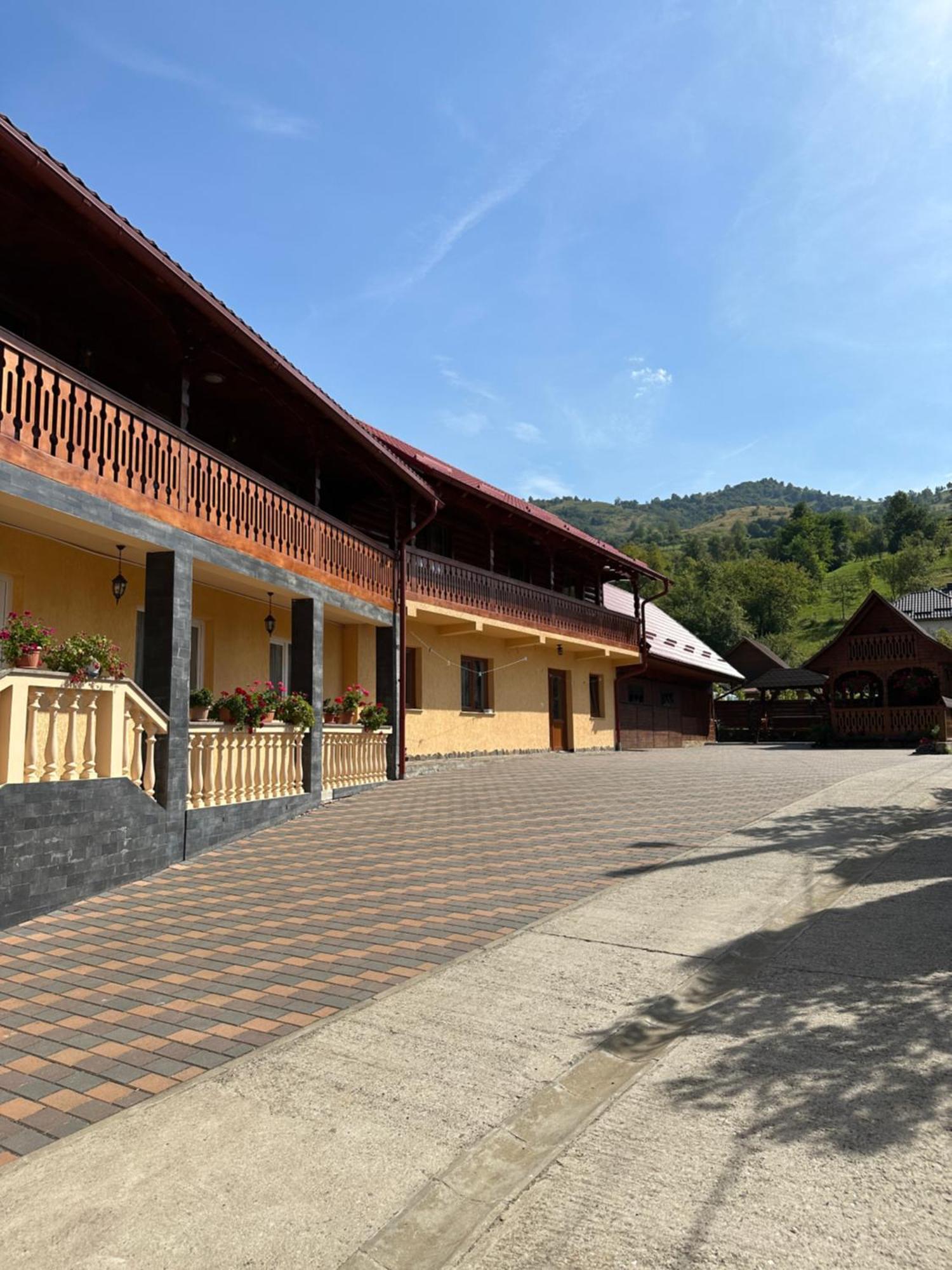 Pensiunea Dorina Botiza Exteriér fotografie